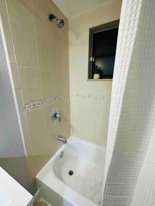 Coral Gables Miami Studio Near Airport And Beaches Dış mekan fotoğraf